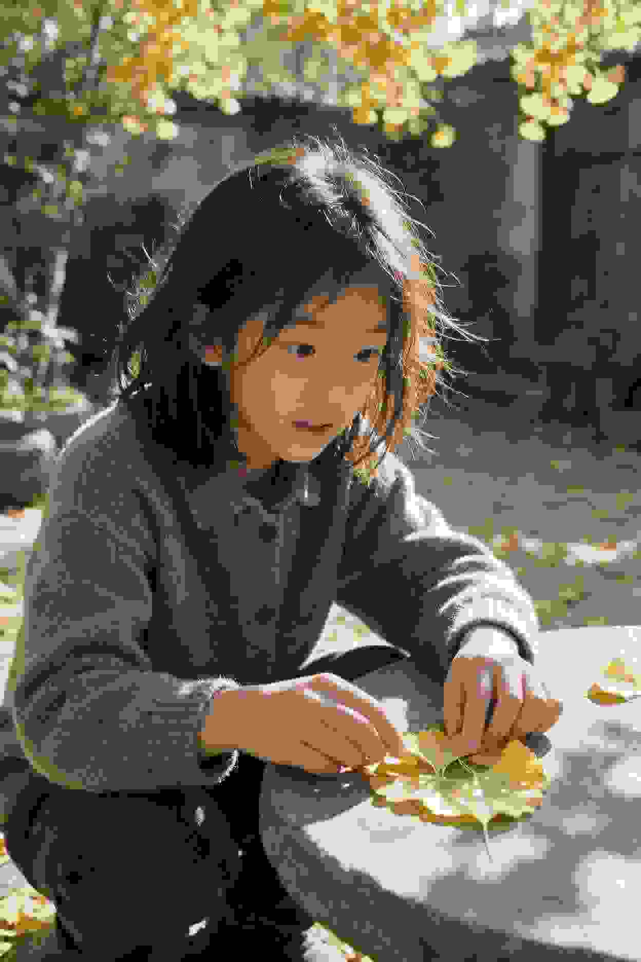 飞龙历险